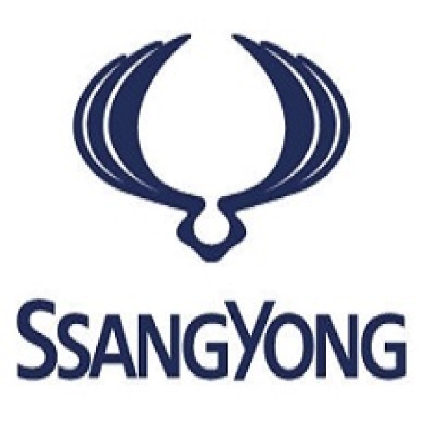 Ssang Yong ORIGINAL ECU dumps